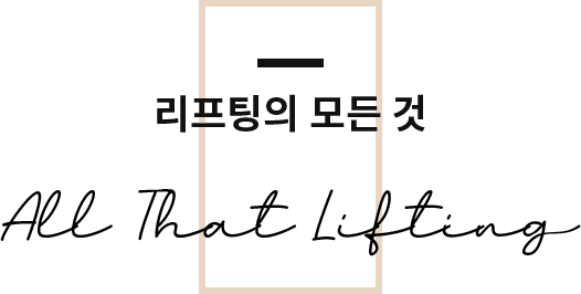 리프팅의 모든 것