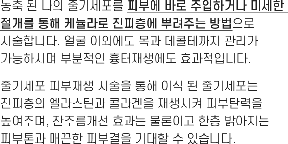 셀테라피 피부 재생 주사 정보