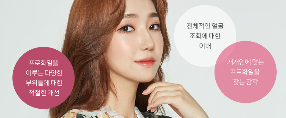 프로화일을 이루는 다양한 부위들에 대한 적절한 개선, 전체적인 얼굴 조화에 대한 이해, 개인에 맞는 프로화일을 찾는 감각