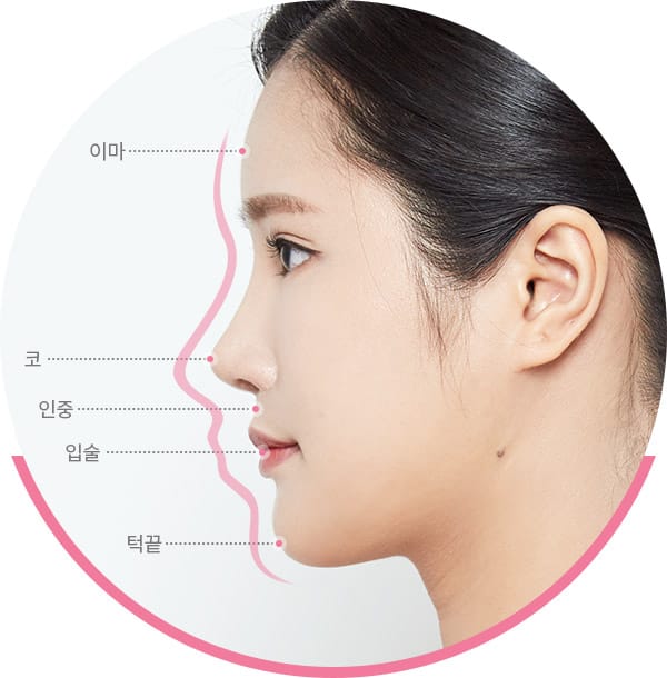 프로화일 성형 : 이마, 코, 인중, 입술, 턱끝