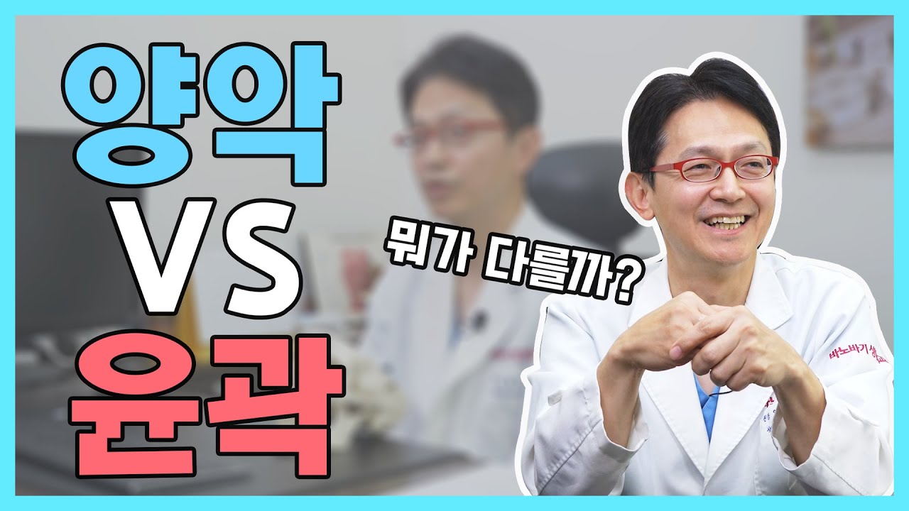 양악과 윤곽의 차이점
